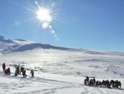 ‘Bu hayat bana göre değil'
